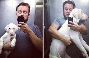 Pegasus 6 hónapja – egy megmentett kutya felcseperedése