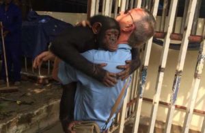 Hálás öleléssel búcsúzott megmentőjétől a láncon tartott csimpánz